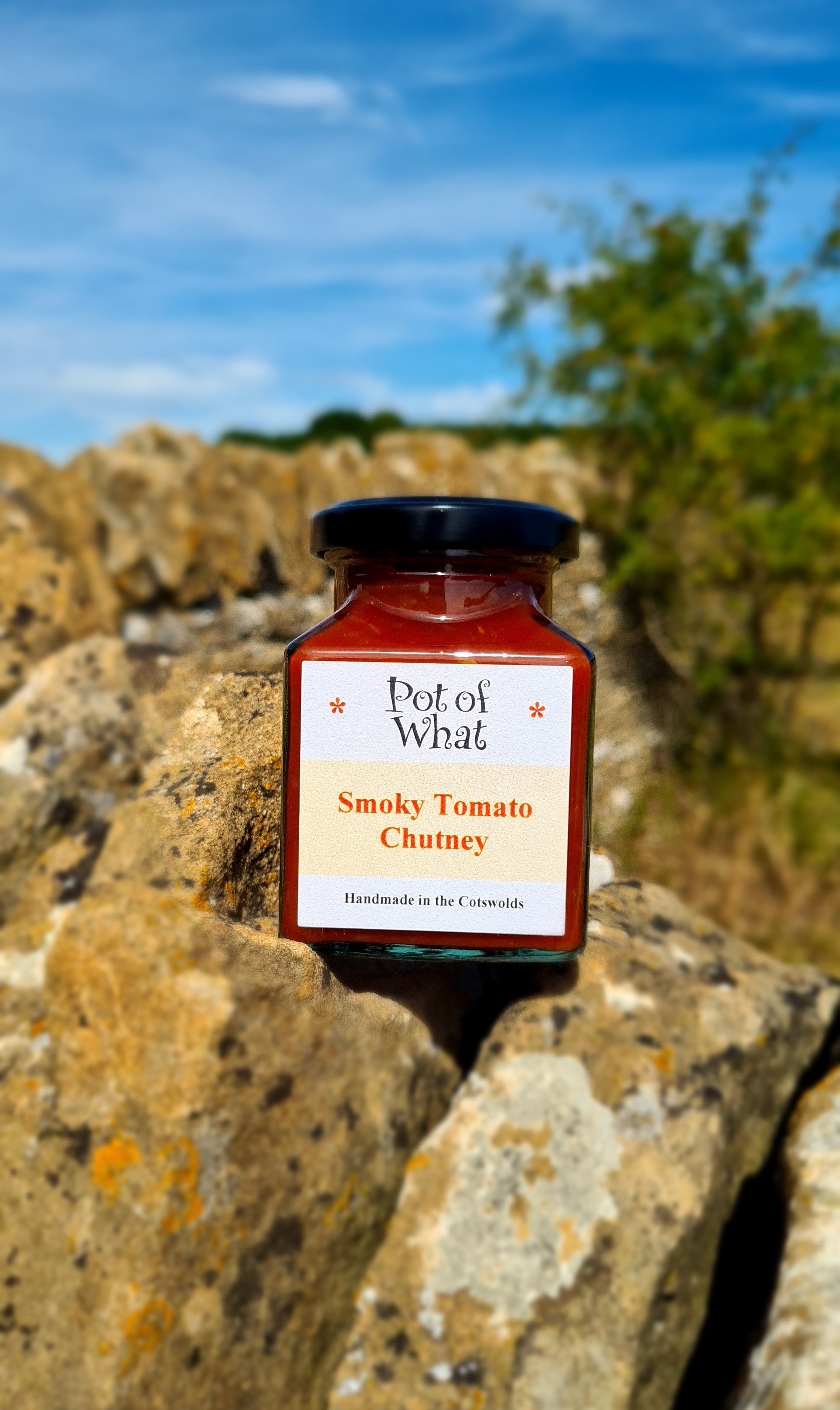 Smoky Tomato Chutney Pot of What